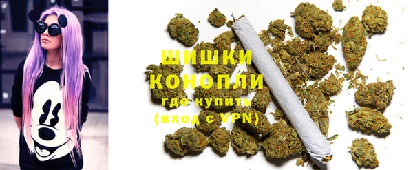 СК Струнино