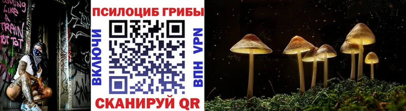 OMG ССЫЛКА  Буинск  Псилоцибиновые грибы ЛСД 
